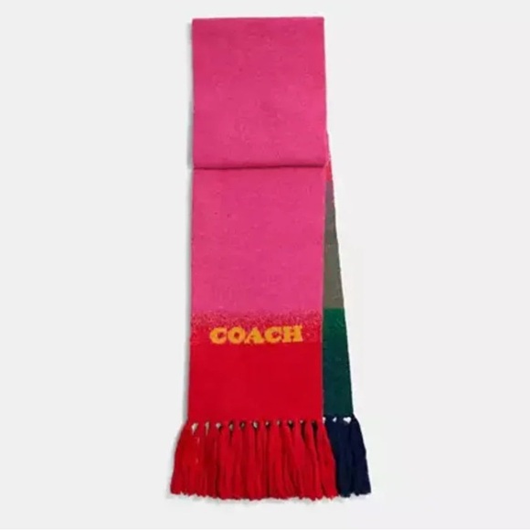 Coach wool Colorblocked Ombré Knit Scarf - Picture 7 of 11